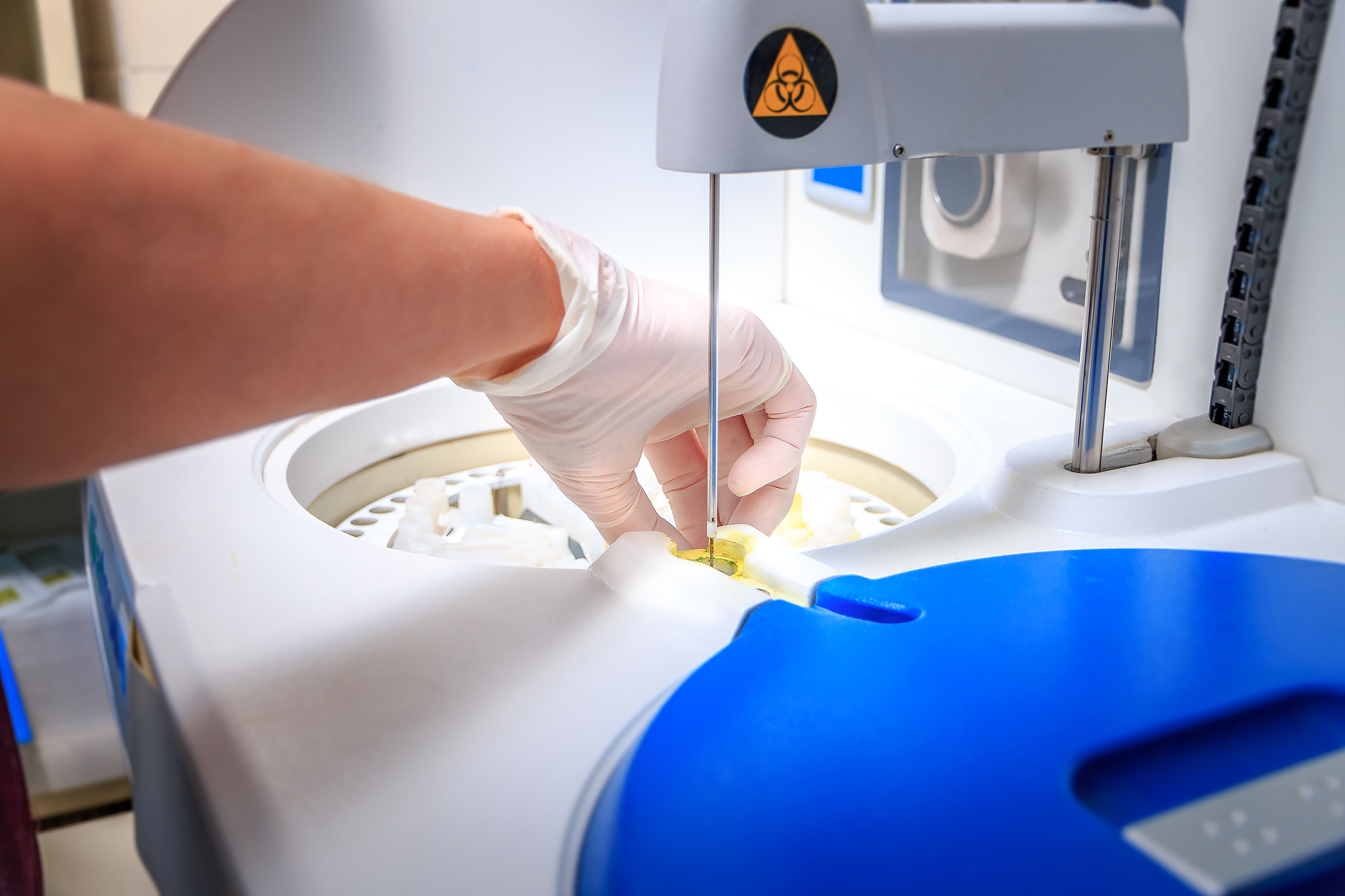 Laboratorio analisi veterinarie Busto Arsizio