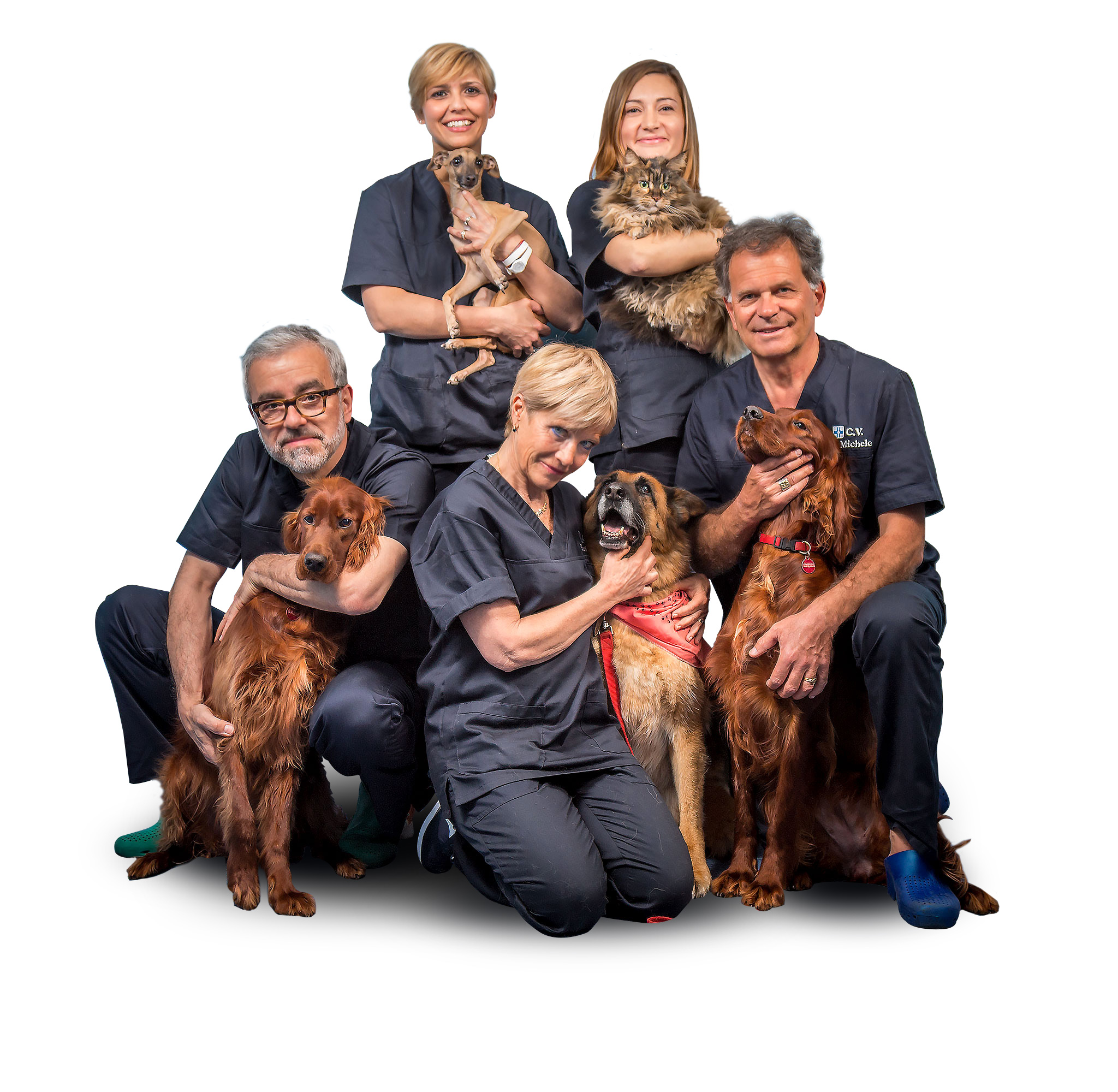 Soci veterinari Busto Arsizio